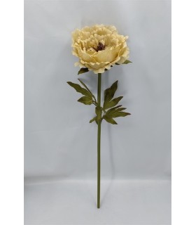PIVOINE BEIGE SUR TIGE 028 H100CM /1P