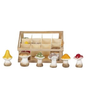 CHAMPIGNON ASSORTI Boite 12P