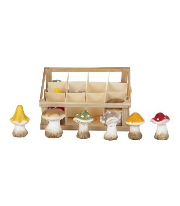 CHAMPIGNON ASSORTI Boite 12P