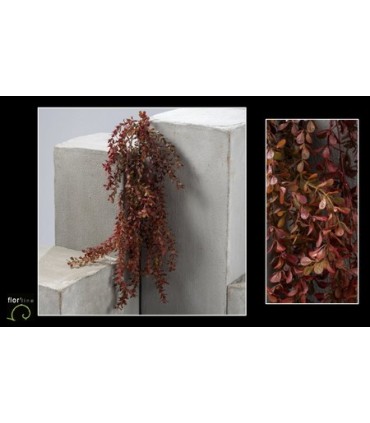 FEUILLE BUXUS BRUN H85CM les 6P