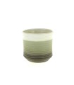 C.POT RAYE VERT 013.5 H12.5CM les 6P
