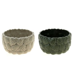 COUPE POMME DE PIN 018.3 H9.6CM à la pièce