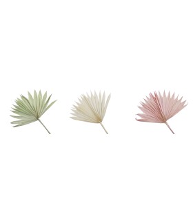 FEUILLE DE PALMIER SEC les 5P