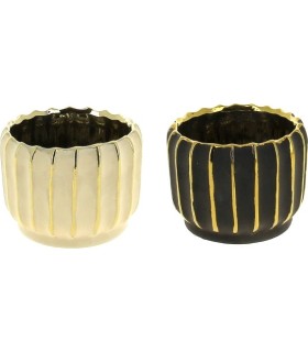 C.POT STRIE DOREE 011 H8.2CM les 8P