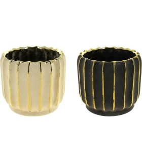 C.POT STRIE DOREE 014 H12.3CM les 6P