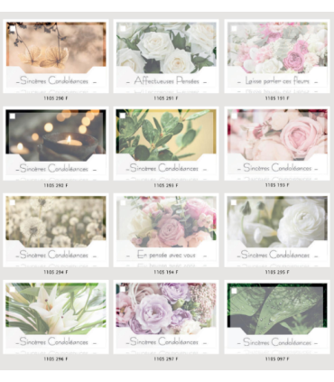 JESO CARTE "SILENZIO" / 10P