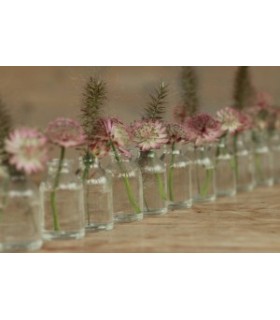 VERRE BOUTEILLE H06CM SET 110P