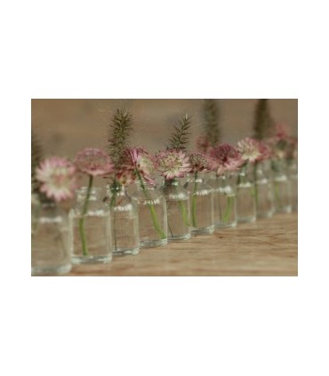 VERRE BOUTEILLE H06CM SET 110P