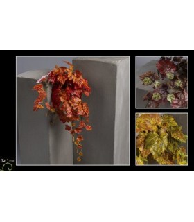 FEUILLE AMPELOPSIS H60CM les 6P