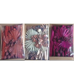 EXOTIQUE assortiment SECHE / BOITE