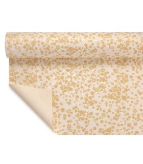 PAPIER POLYMAT BICOLORE 70 cm X 50M