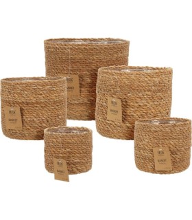 C.POT OSIER NATUREL 010 à 018CM SET 5P