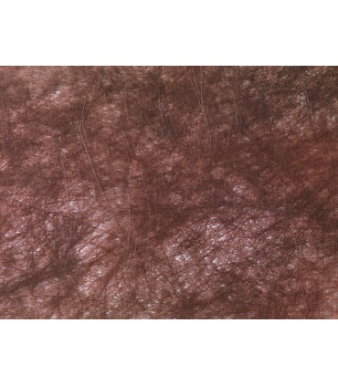 ROULEAU POLYWEB 68CM x 40M