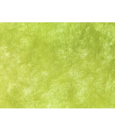 ROULEAU POLYWEB 68CM x 40M