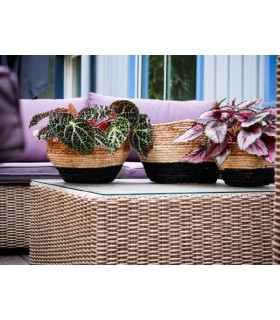 JARDINIERE ANSE 0037 à 027CM SET 3P