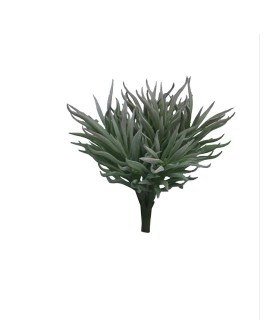 FLEUR CRASULA HIMALAYA VERT ou GRIS 15CM à la pièce