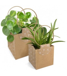 SAC EVIDENCE NATUREL MEDIUM /10P