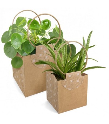 SAC EVIDENCE NATUREL MEDIUM /10P