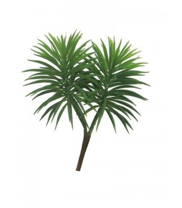 FEUILLE CROSSOSTEPHIUM 18CM à la pièce