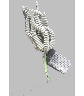 FLEUR SUCCULENT RHODA VERT 16CM à la pièce