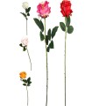 FLEUR ROSE TIGE 65CM ASSORT.les 36P