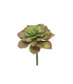 FLEUR EUCHEVERIA GOURIN ROSE 17CM la pièce