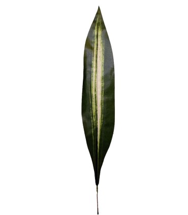 FEUILLE DE DRACENA H65CM les 12P
