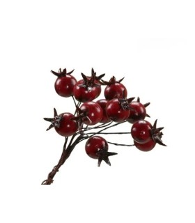 BAIE ROUGE BOUQUET les 6P