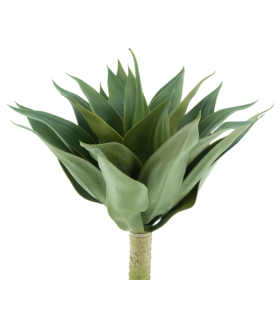 PLANTE AGAVE VERTE 52CM /1P
