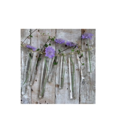 VERRE EPROUVETTE 02CM H12.5CM les 12P