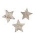 ETOILE BOULEAU 2.5CM les 100 PIECES