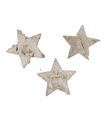 ETOILE BOULEAU 2.5CM les 100 PIECES