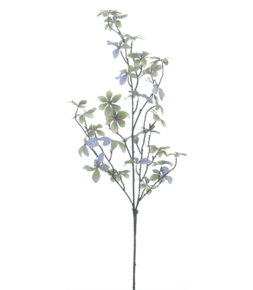 FEUILLE DE PITTOSPORUM GRIS BLEU 105CM