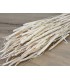 PHLEUM BLANC SACHET 100GR