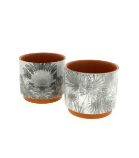 C.POT IMP.JUNGLE NOIR 013.8 H12CM /6P