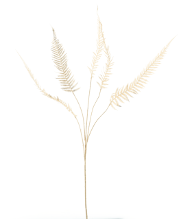 FEUILLE DE FOUGERE EPEE OR 119CM à la pièce