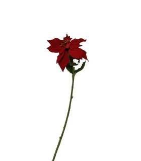 FLEUR POINSETTIA ROUGE 60CM à la pièce