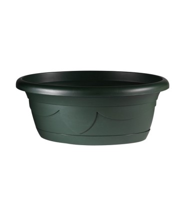 COUPE PLANTE LIZA OVALE 34cm