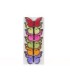 PAPILLON Diam.09.5CM BOITE 12P