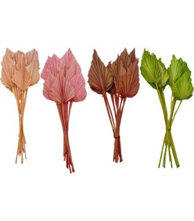 FEUILLE PALMIER COULEUR les 10P