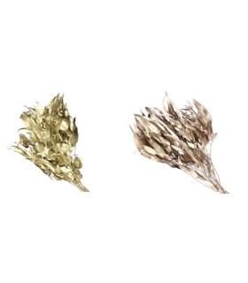 FEUILLE D'EUCALYPTUS NOEL à la pièce