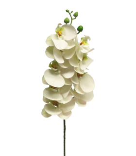 FLEUR PHALAENOPSIS BORA 77CM à la pièce