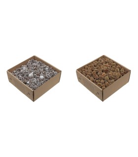 FRUIT SEC "CASURINA" boite 430GR 