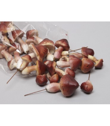 CHAMPIGNON ASSORT.BOITE 24P