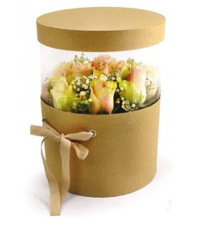 BOITE PANDORE AJUSTABLE SET 2P