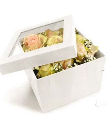 BOITE PANDORE FENETRE CARREE SET 2P