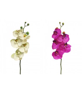 FLEUR PHALAENOPSIS 58CM à la pièce