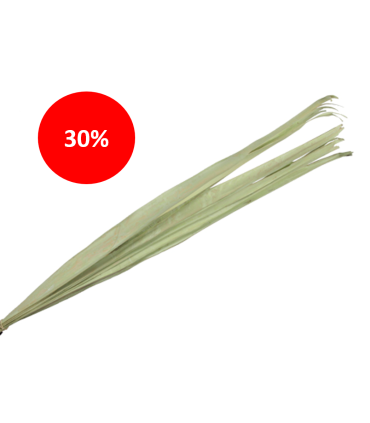 FEUILLE SECHEE 90-110CM /10P