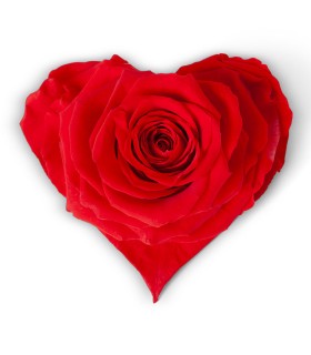 VERDISSIMO-ROSE Coeur pièce