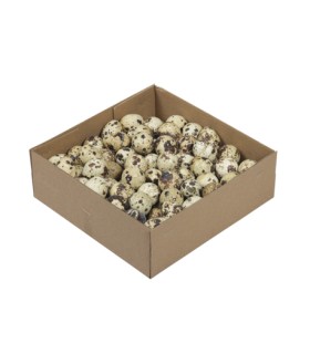 OEUF DE CAILLE 3CM BOITE 100P